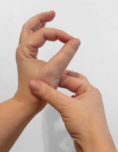 manu - cottura carne