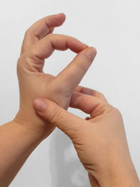 manu - cottura carne