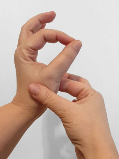 manu - cottura carne