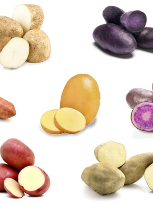 vari tipi di patate