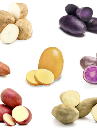 vari tipi di patate