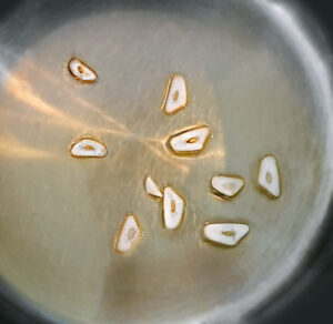 aglio soffritto aglio soffritto