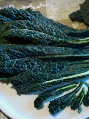 cavolo nero - foglie
