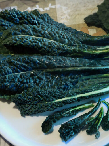 cavolo nero - foglie