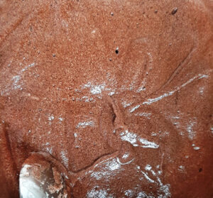 quaresimali - impasto quaresimali - impasto