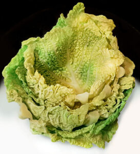 involtini di verza - foglie lessate involtini di verza - foglie lessate