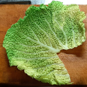 involtini di verza - foglia tagliata involtini di verza - foglia tagliata