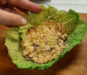 involtini di verza - foglia con ripieno involtini di verza - foglia con ripieno