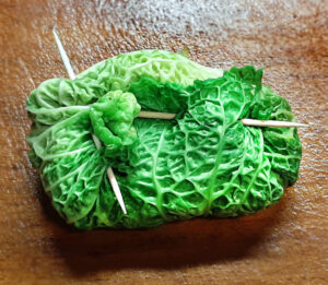 involtini di verza - pre-cottura involtini di verza - pre-cottura