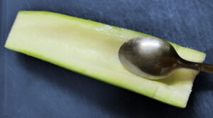 zucchina lunga scavata zucchina lunga scavata