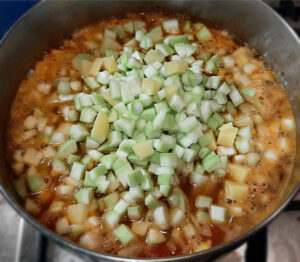 zucchina lunga - minestra zucchina lunga - minestra