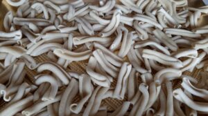 Casarecce farina di farro