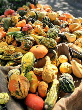 autunno - foto di Cris