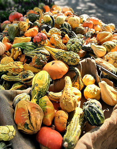 autunno - foto di Cris