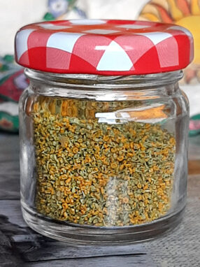 Finocchietto selvatico essiccato barattolo