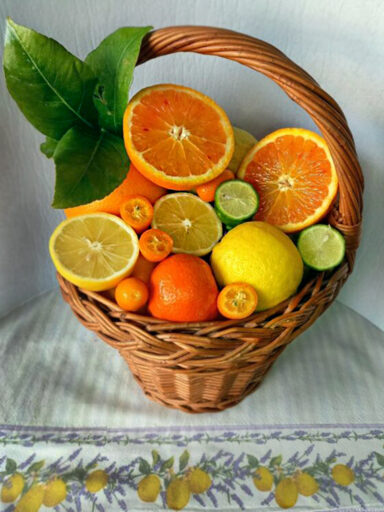 Gli Agrumi