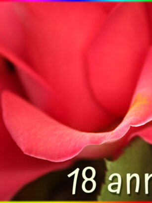 menu 18 anni