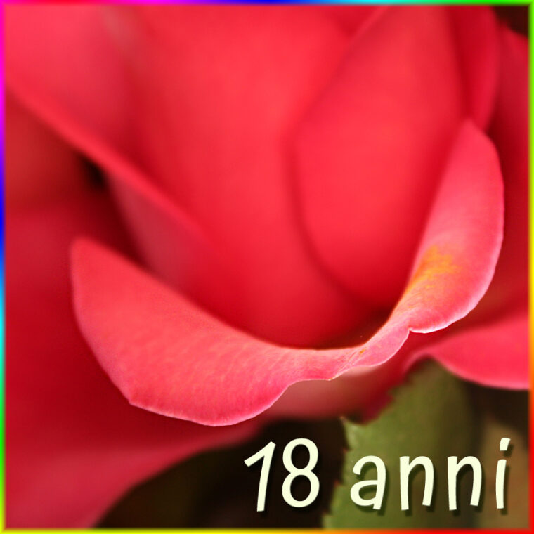 menu 18 anni
