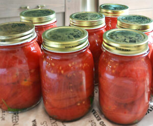 Conserva di pomodori