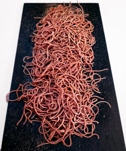 Pasta in casa – Spaghetti al vino rosso