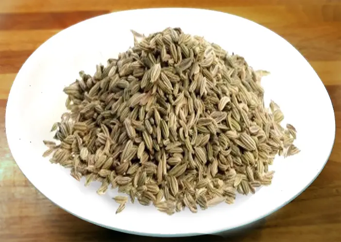 semi di finocchietto selvatoco