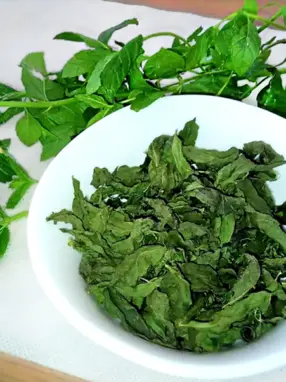 menta essiccata finale