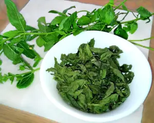 Menta essiccata