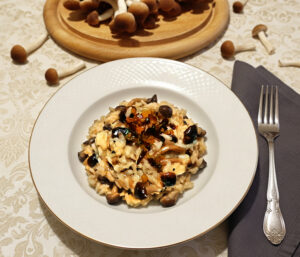 Risotto ai funghi pioppini e speck