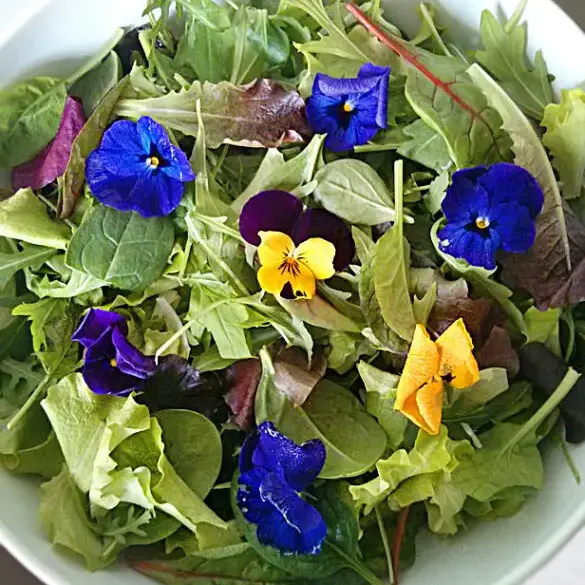 insalata con i fiori q